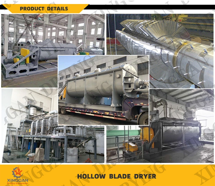 Hollow Blade Vacuum Heat Pump Sewage Industrial Rotary Sludge Dryer