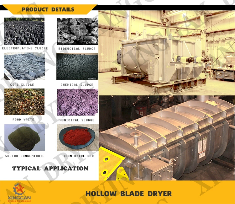 Hollow Blade Vacuum Heat Pump Sewage Industrial Rotary Sludge Dryer